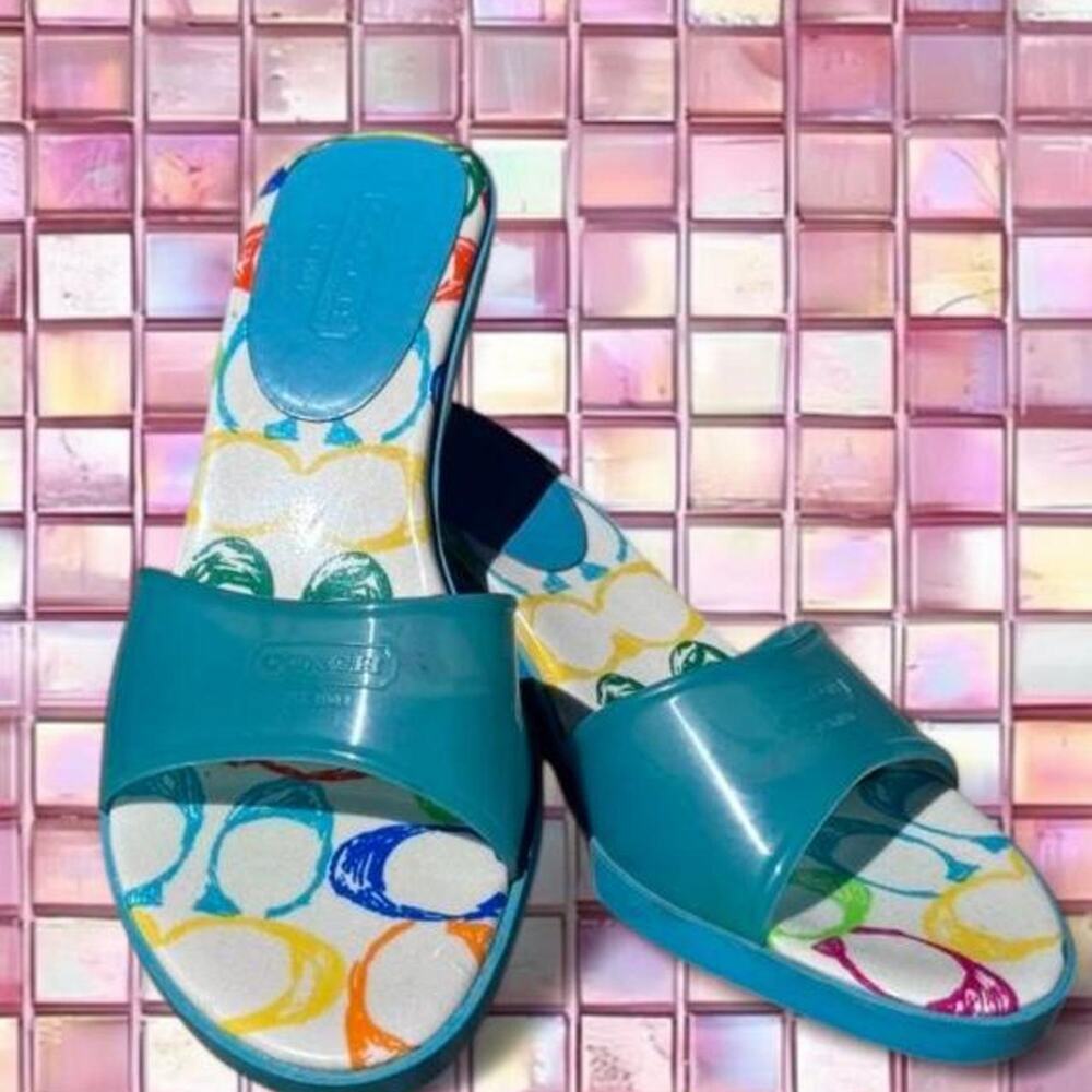 Rare vintage coach blue jelly